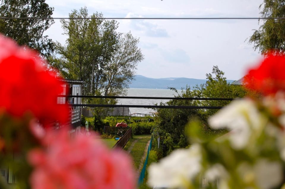 Day, Sea view