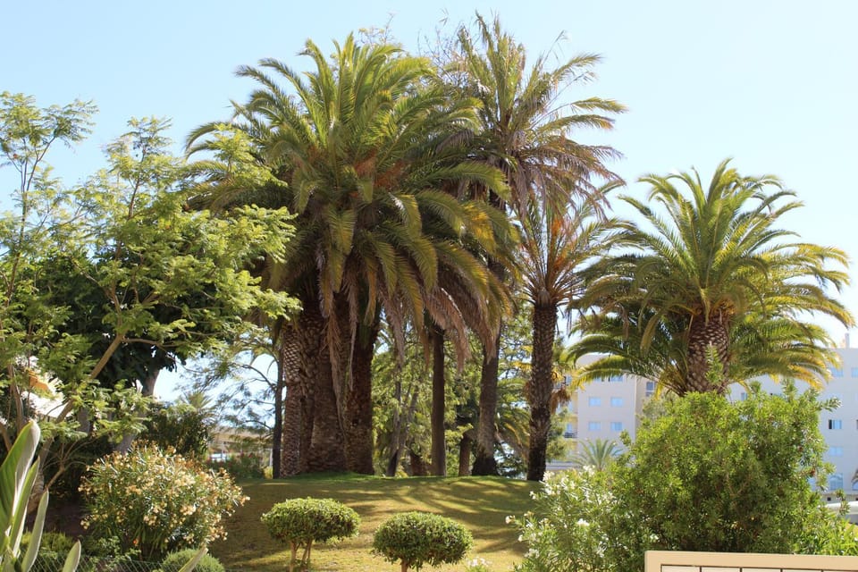 Natural landscape, Garden