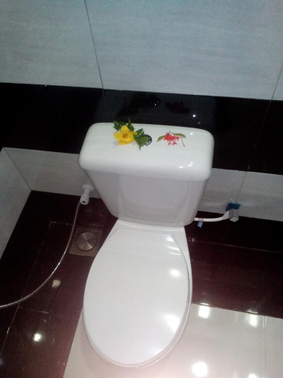 Toilet, Bathroom