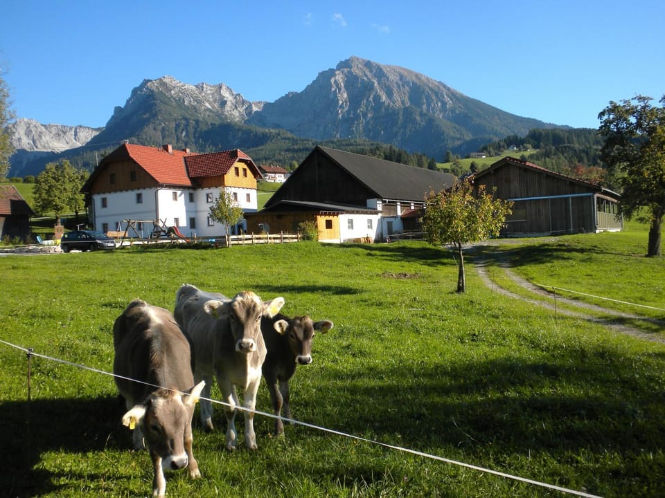 Facade/entrance, Summer, Table tennis, Hiking, Animals