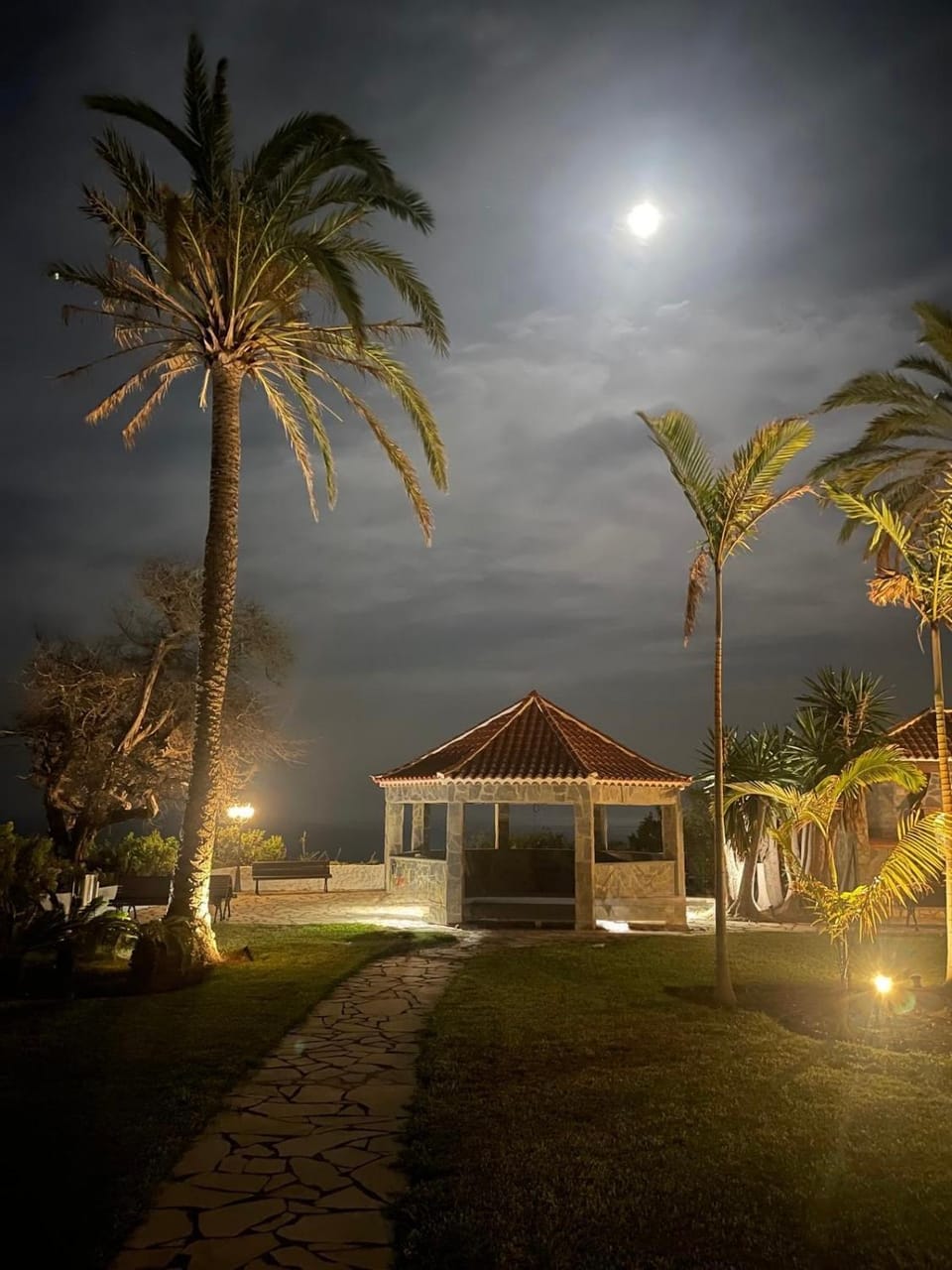 Property building, Night, Garden, Garden view