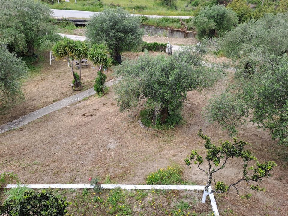 Evridiki Apartments Apartment in Corfu, Greece