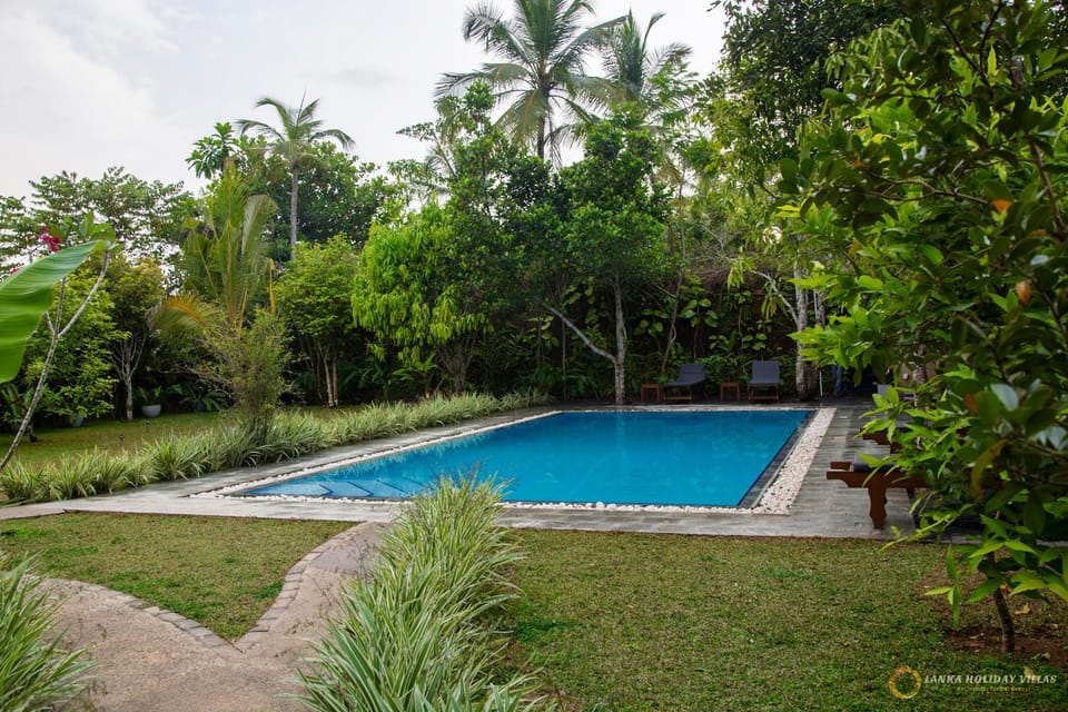 Spring, Day, Natural landscape, Garden, Garden view, Pool view, Swimming pool, Swimming pool, sunbed