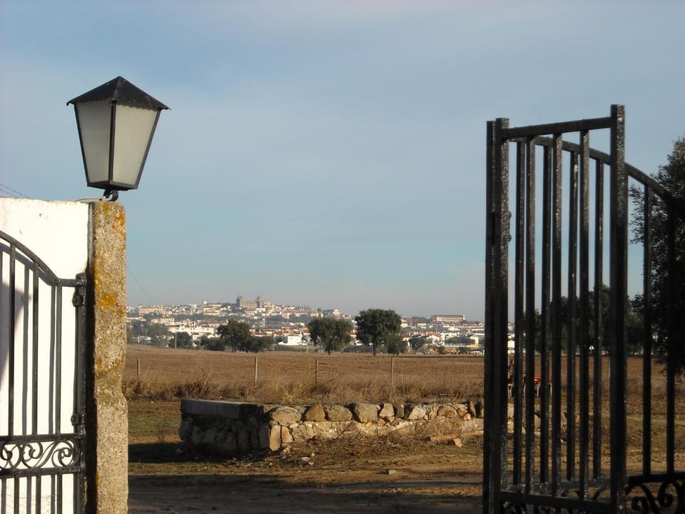 City view
