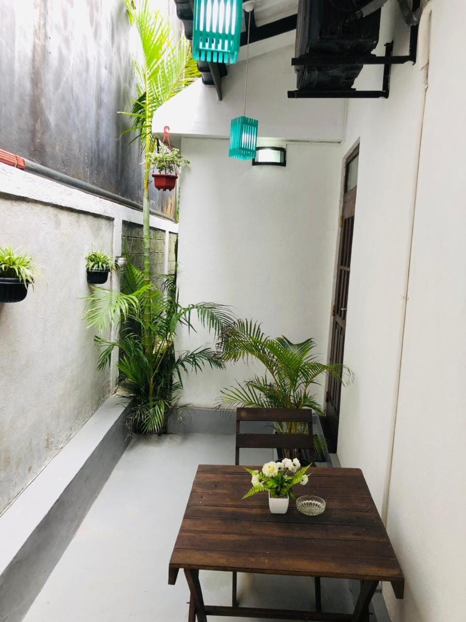 Patio, Garden