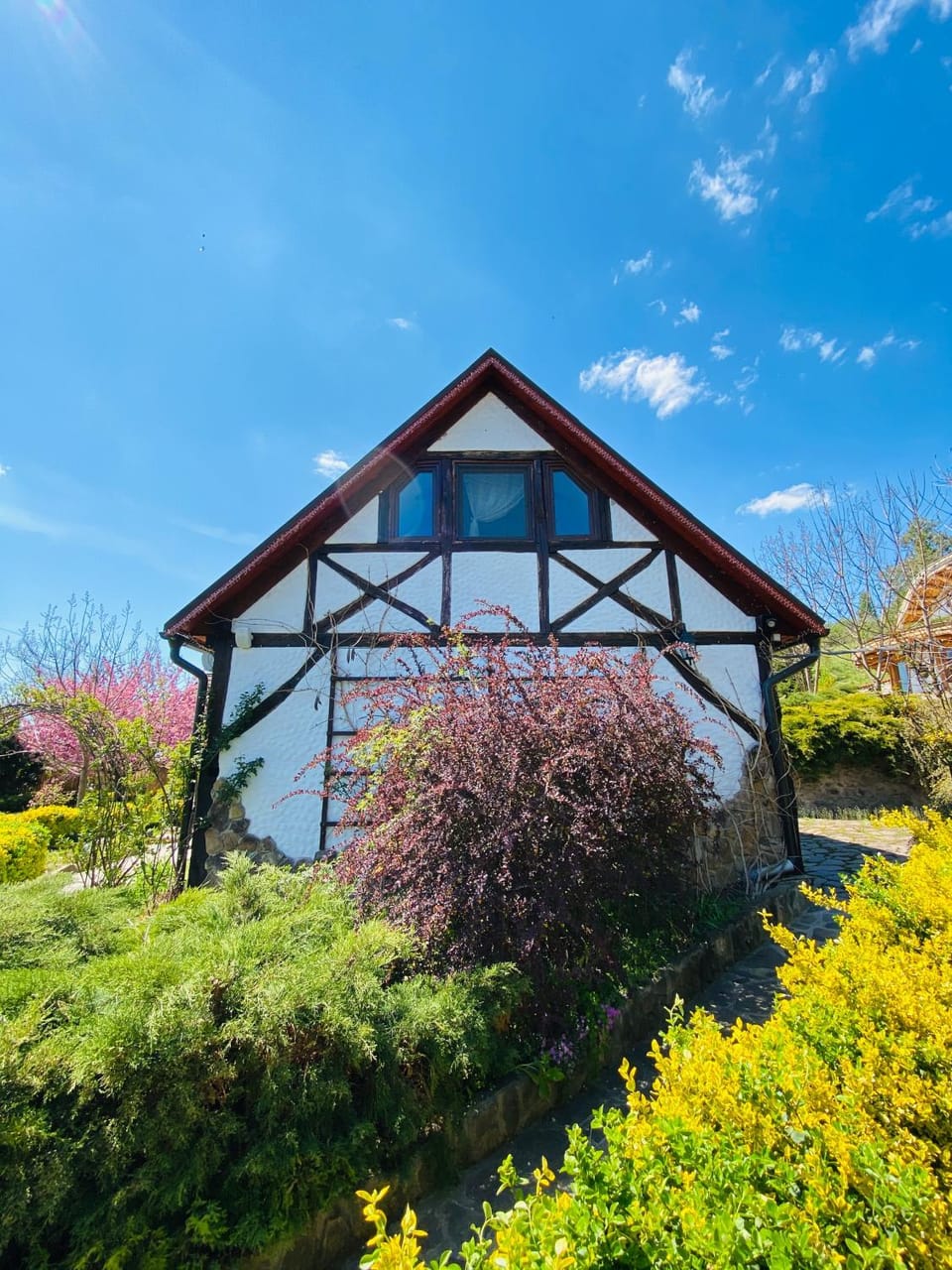 Property building, Spring, Day, Garden, Garden view