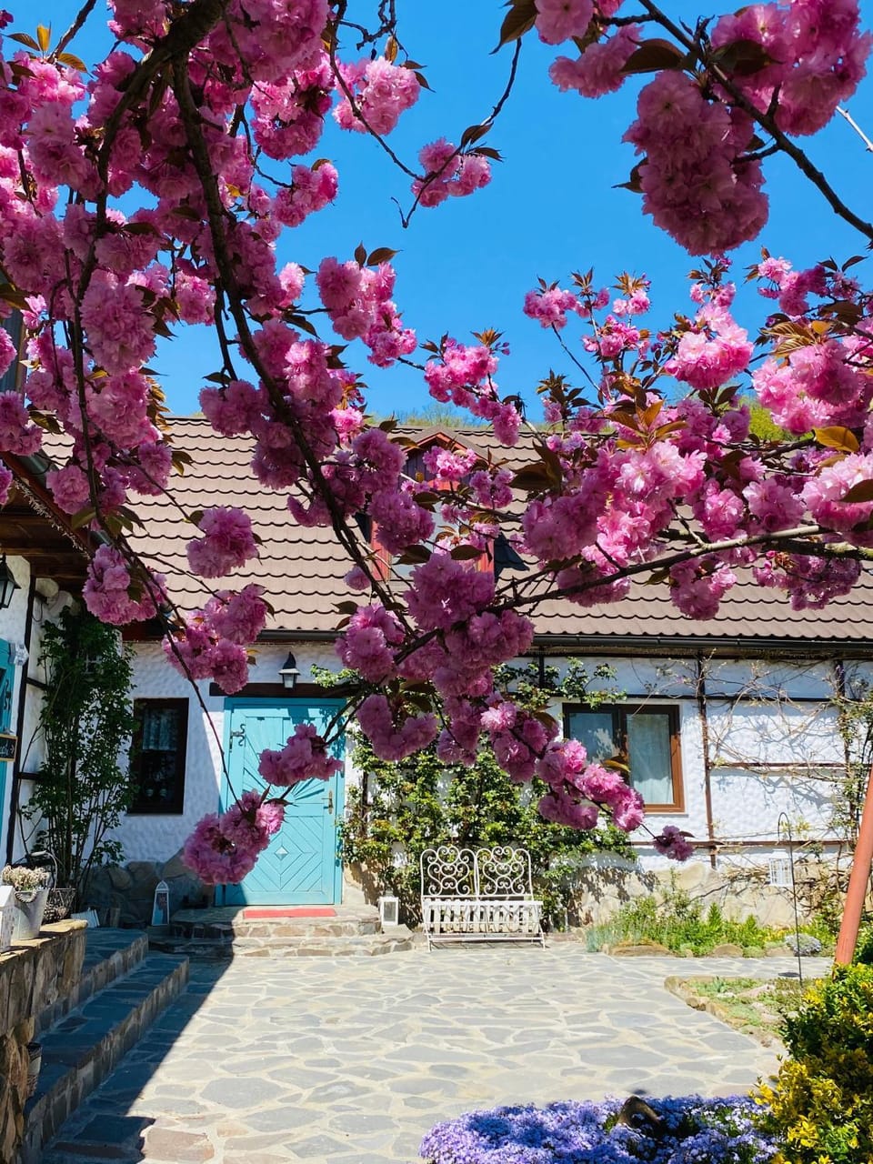 Property building, Spring, Day, Garden, Garden view