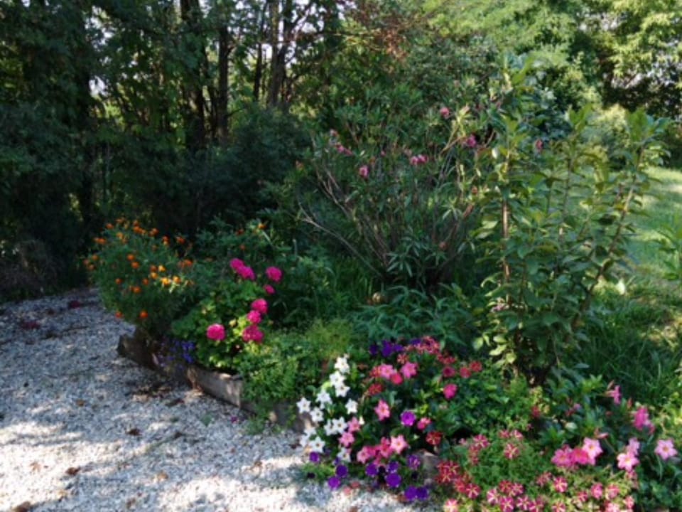 Garden, On site