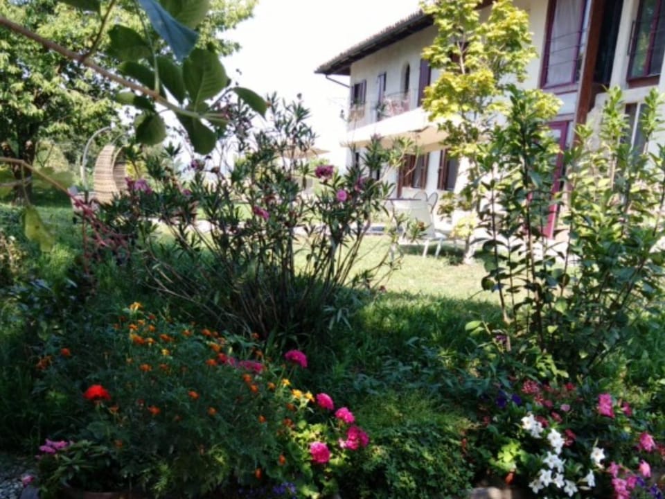 Property building, Garden