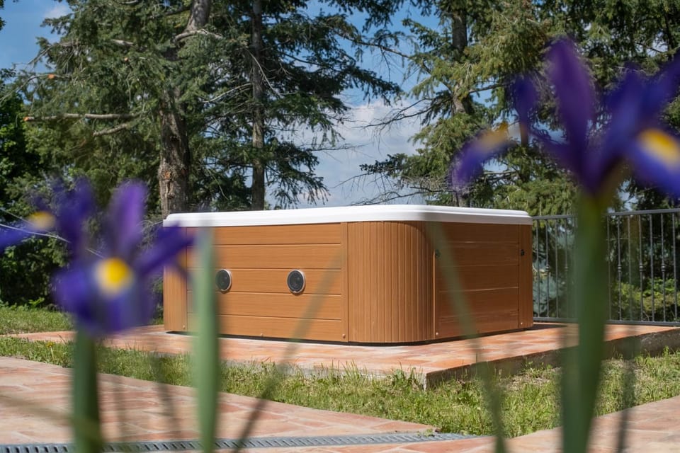 Hot Tub, Mountain view, Pool view, Open Air Bath