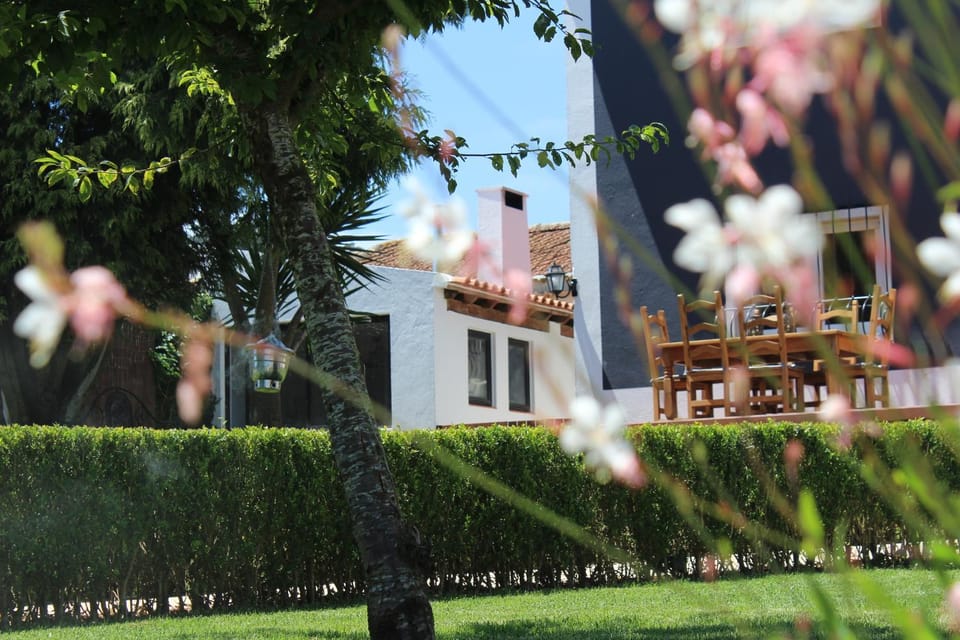 Property building, Garden, Garden, Garden view