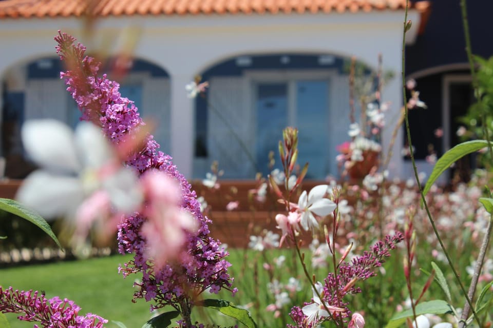 Property building, Spring, Garden, Garden, Garden view