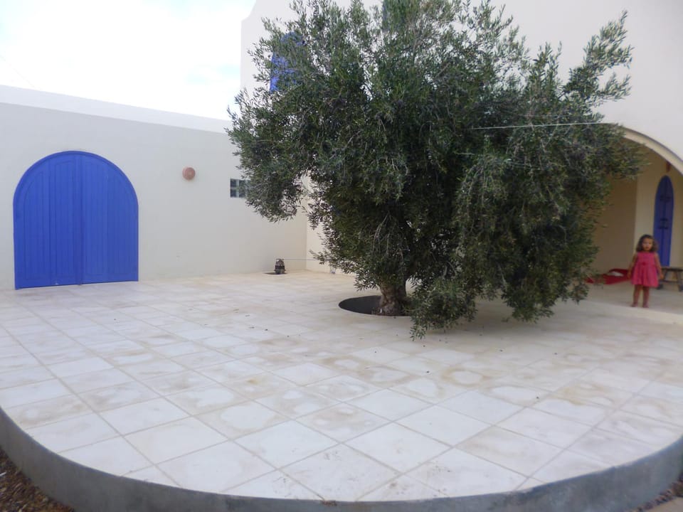 Patio, Garden