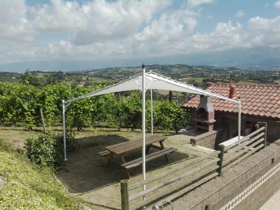 Patio, BBQ facilities