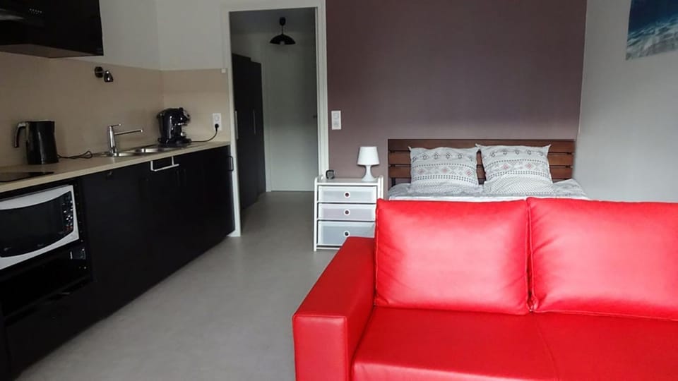 Coffee/tea facilities, Kitchen or kitchenette, Living room, minibar, stove