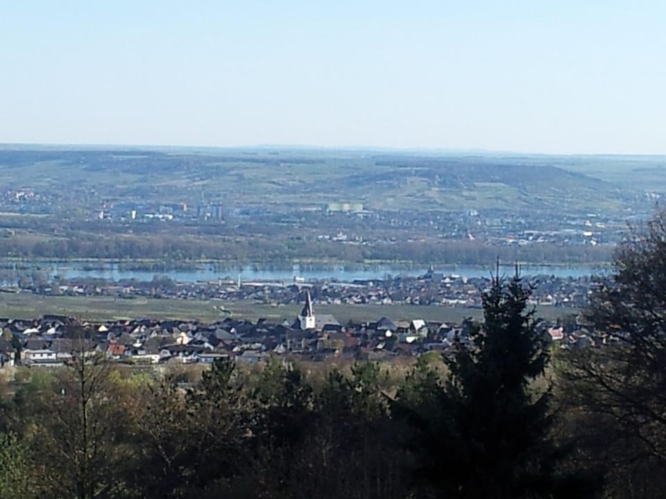 Zum Rebhang Bed & Breakfast Bed and Breakfast in Oestrich-Winkel