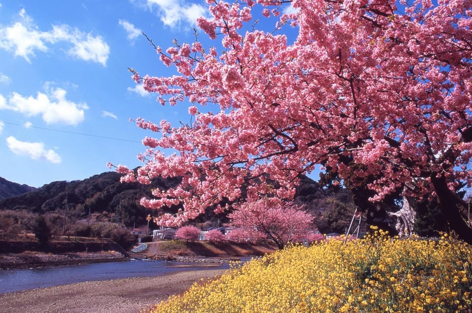 Spring, Other