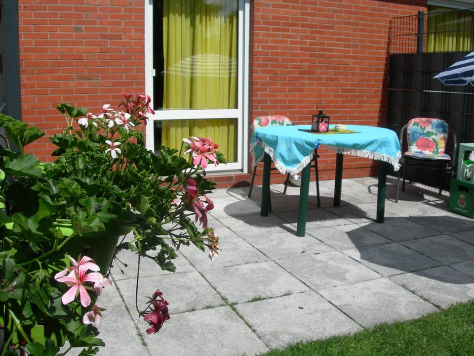 Garden, Balcony/Terrace, Pets, Garden view, sunbed