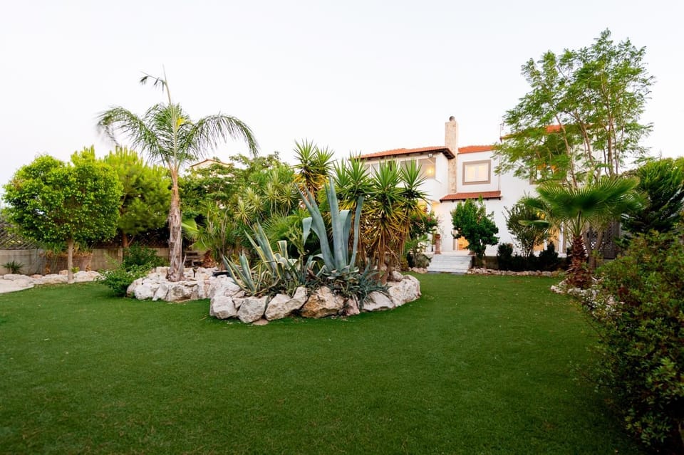 Property building, Activities, Garden