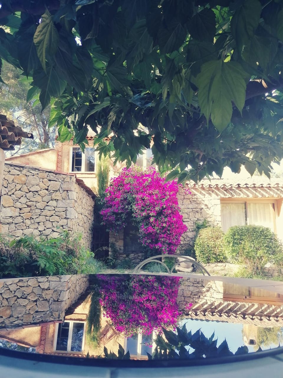 Patio, Garden