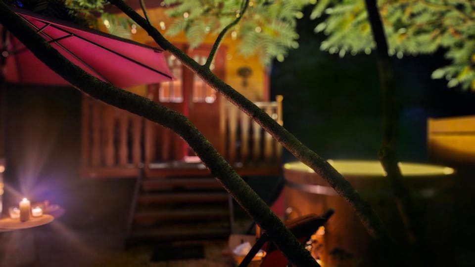 Night, Garden