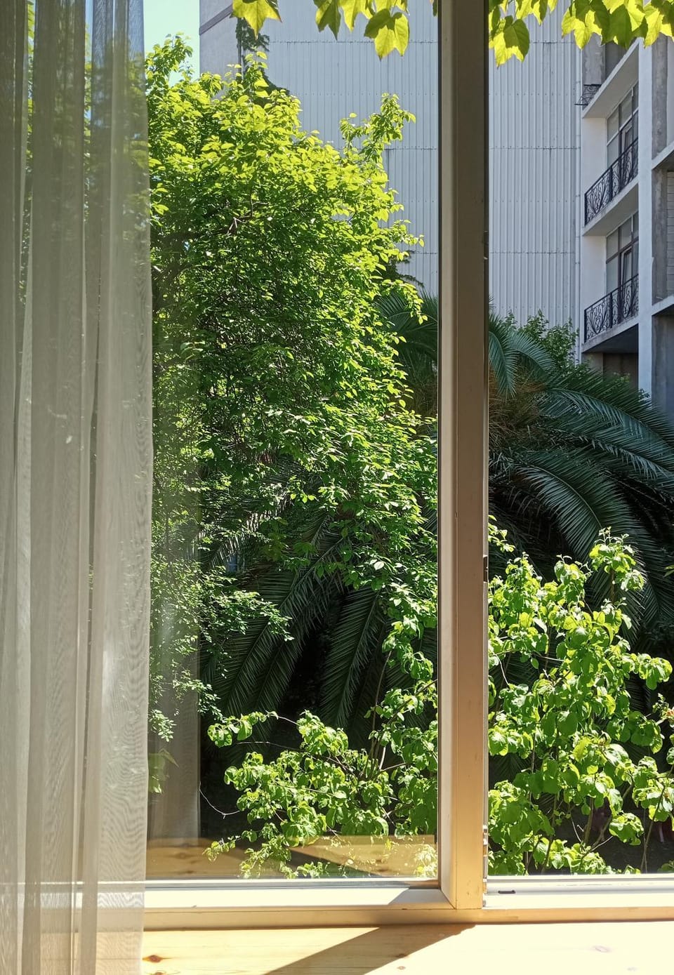 View (from property/room), Garden view