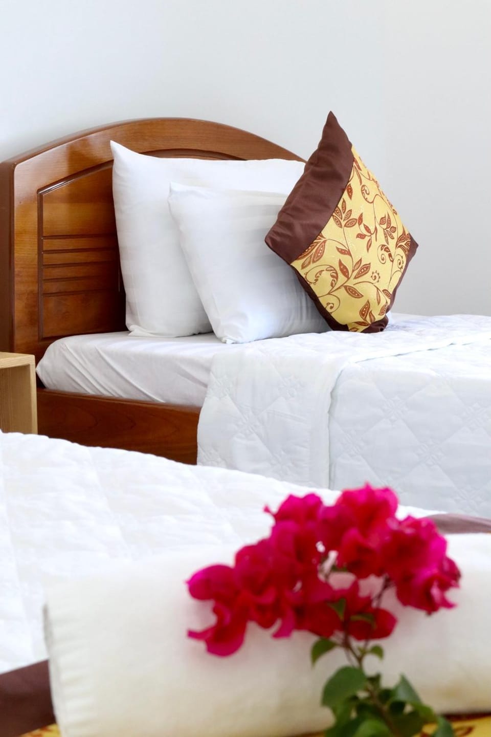 Khách sạn Thái Bình Hotel in Ba Ria - Vung Tau