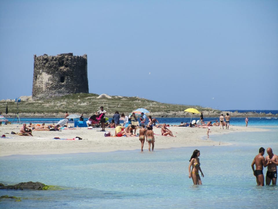 Beach, Area and facilities