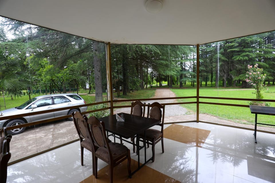 Spring, Day, Garden, View (from property/room), Seating area, Dining area