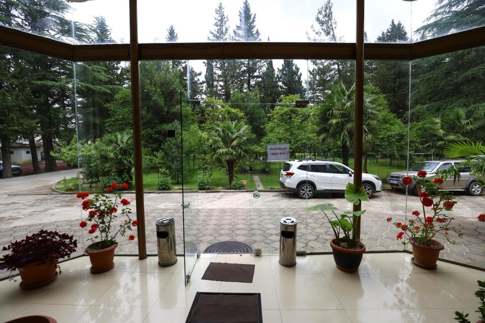 Spring, Day, Natural landscape, Garden, Garden view