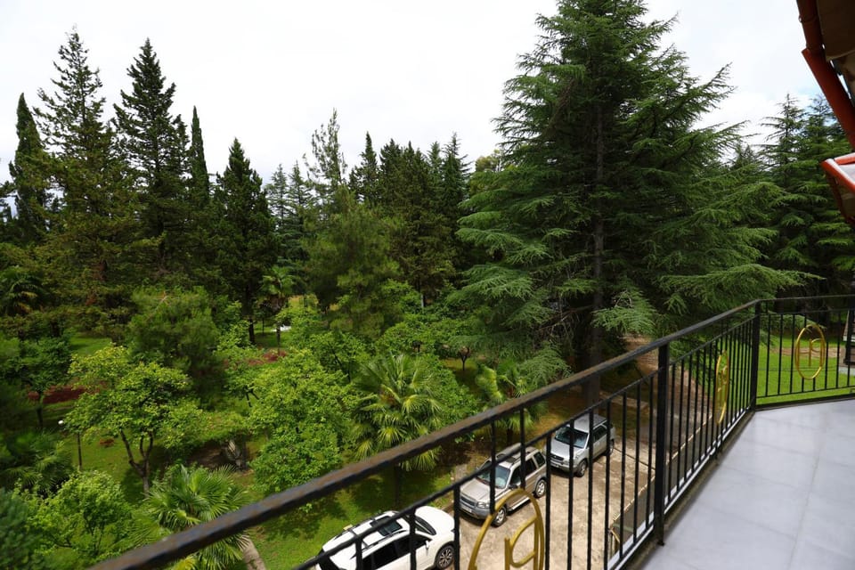 Spring, Natural landscape, Garden, View (from property/room), Balcony/Terrace, Garden view
