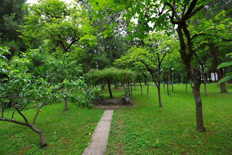 Spring, Natural landscape, Garden, Garden view