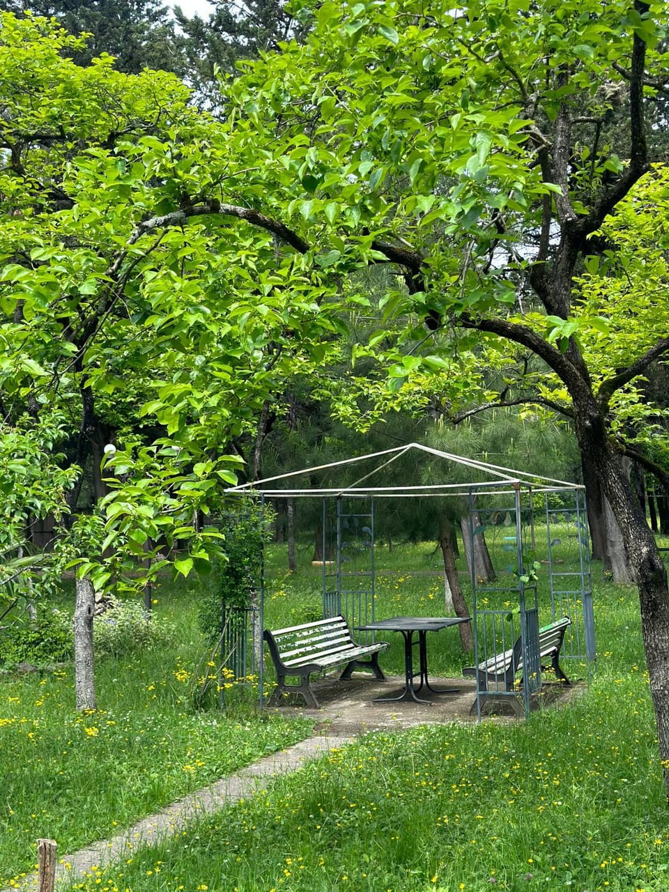 Spring, Day, Natural landscape, Garden, Garden view
