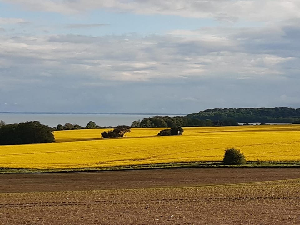 Natural landscape