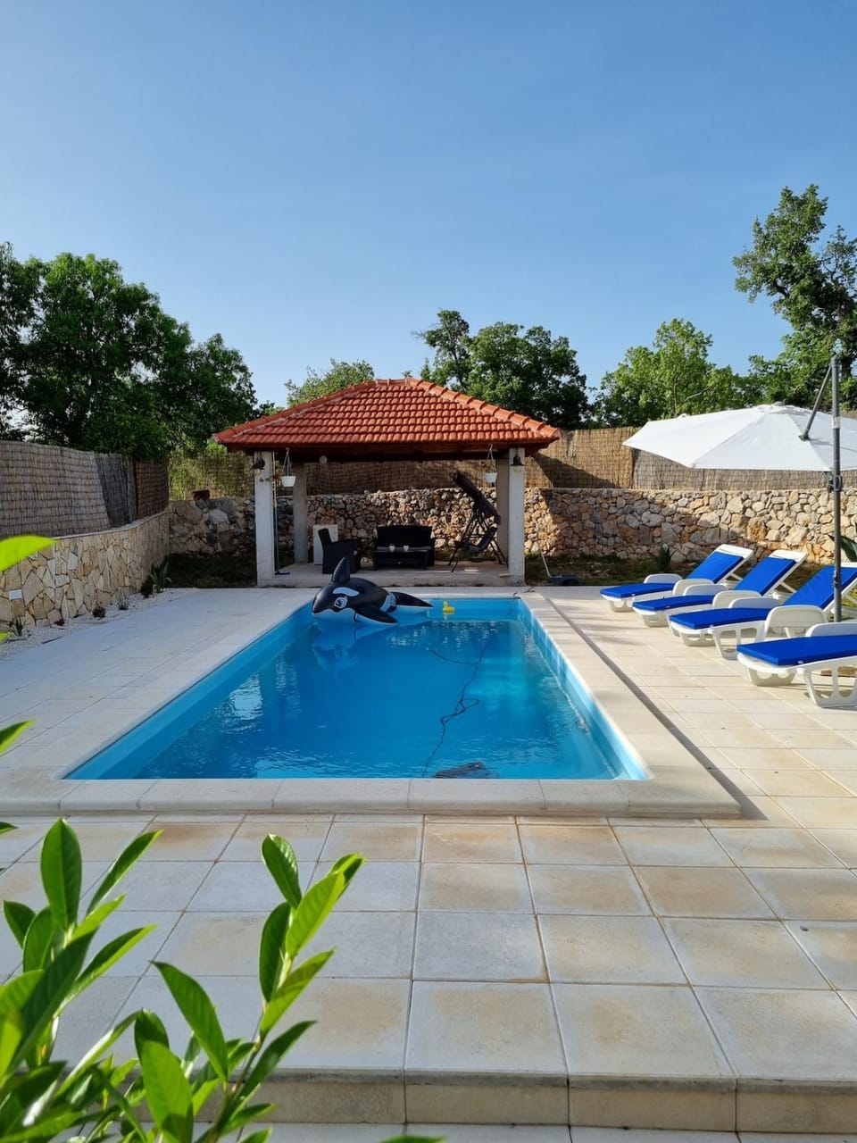 Swimming pool, sunbed
