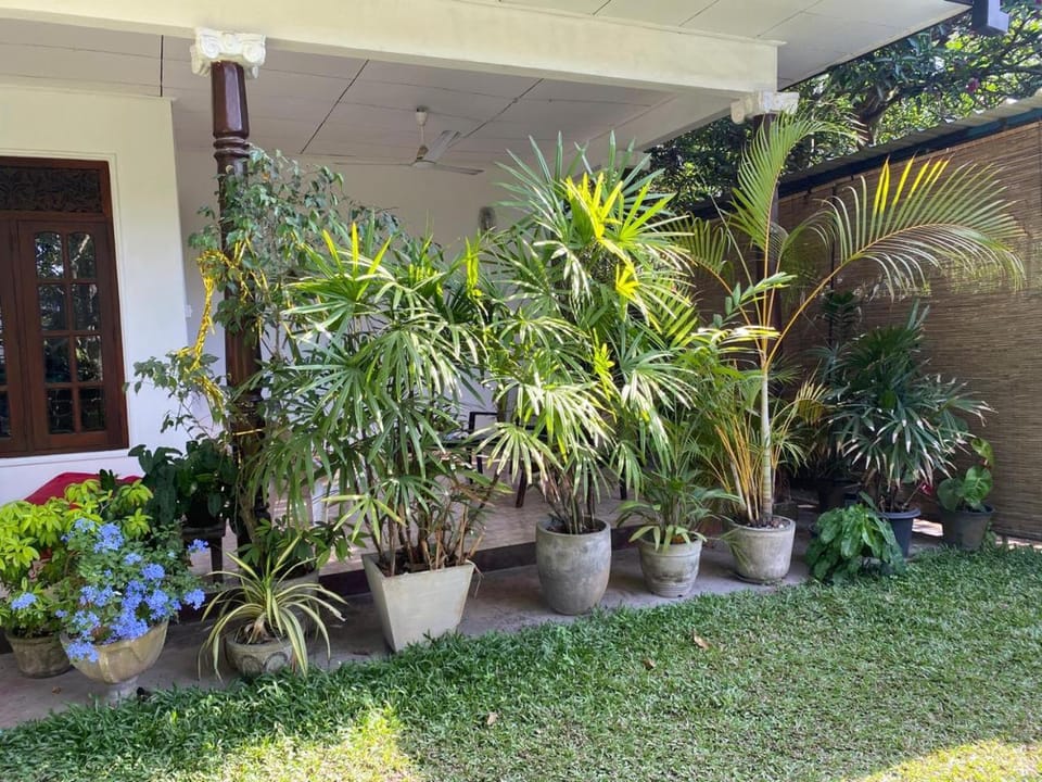 Day, Garden