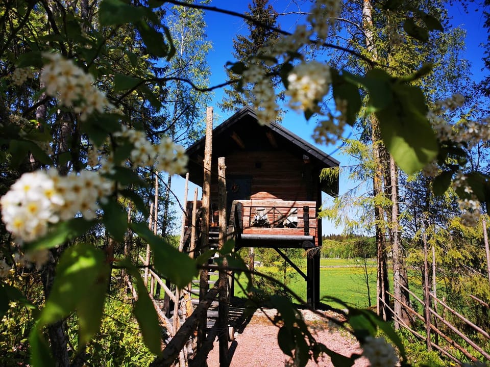 Luomajärven Hevoskievari Farm Stay in Finland
