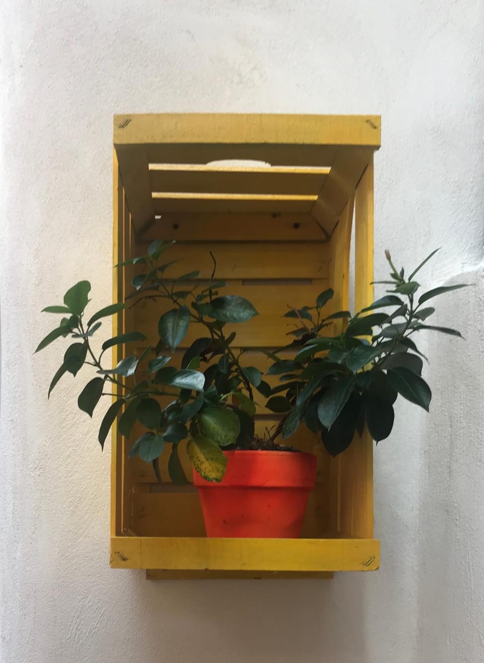 Vesuvio Rooms Bed and Breakfast in Campania