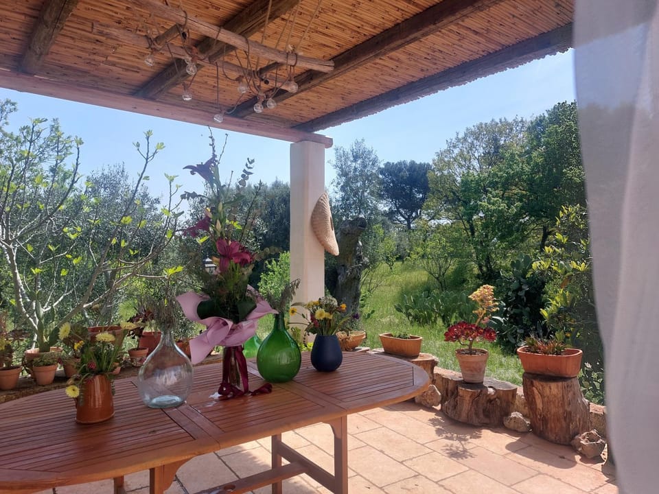 A casa di Clio House in Province of Taranto