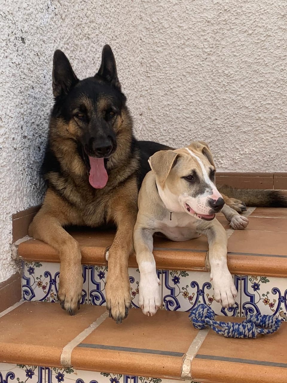 Finca Tres Molinos B&B Bed and Breakfast in Region of Murcia