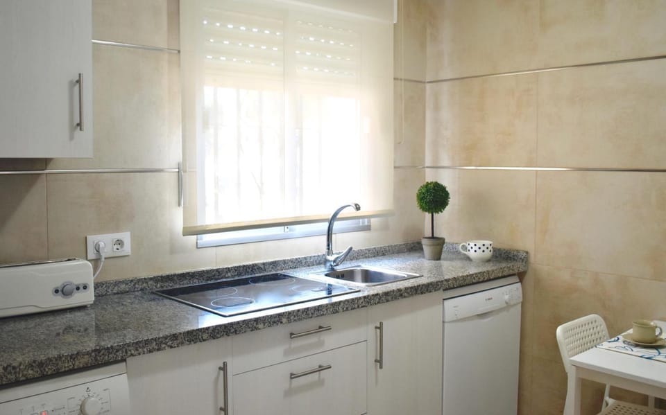 Kitchen or kitchenette, dishwasher, stove, toaster