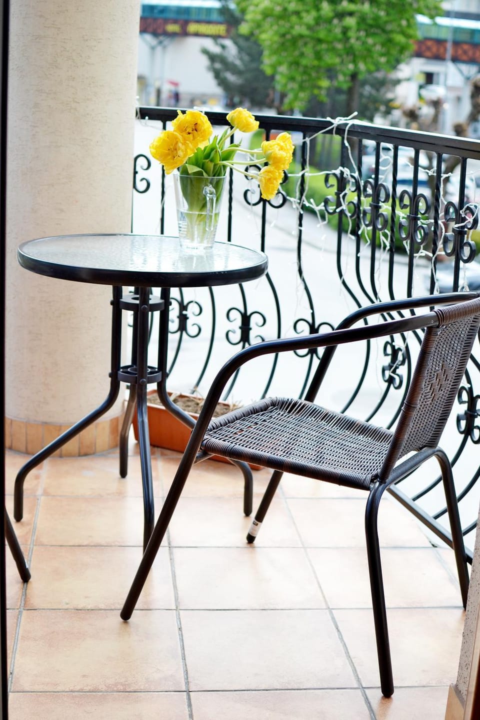 Balcony/Terrace