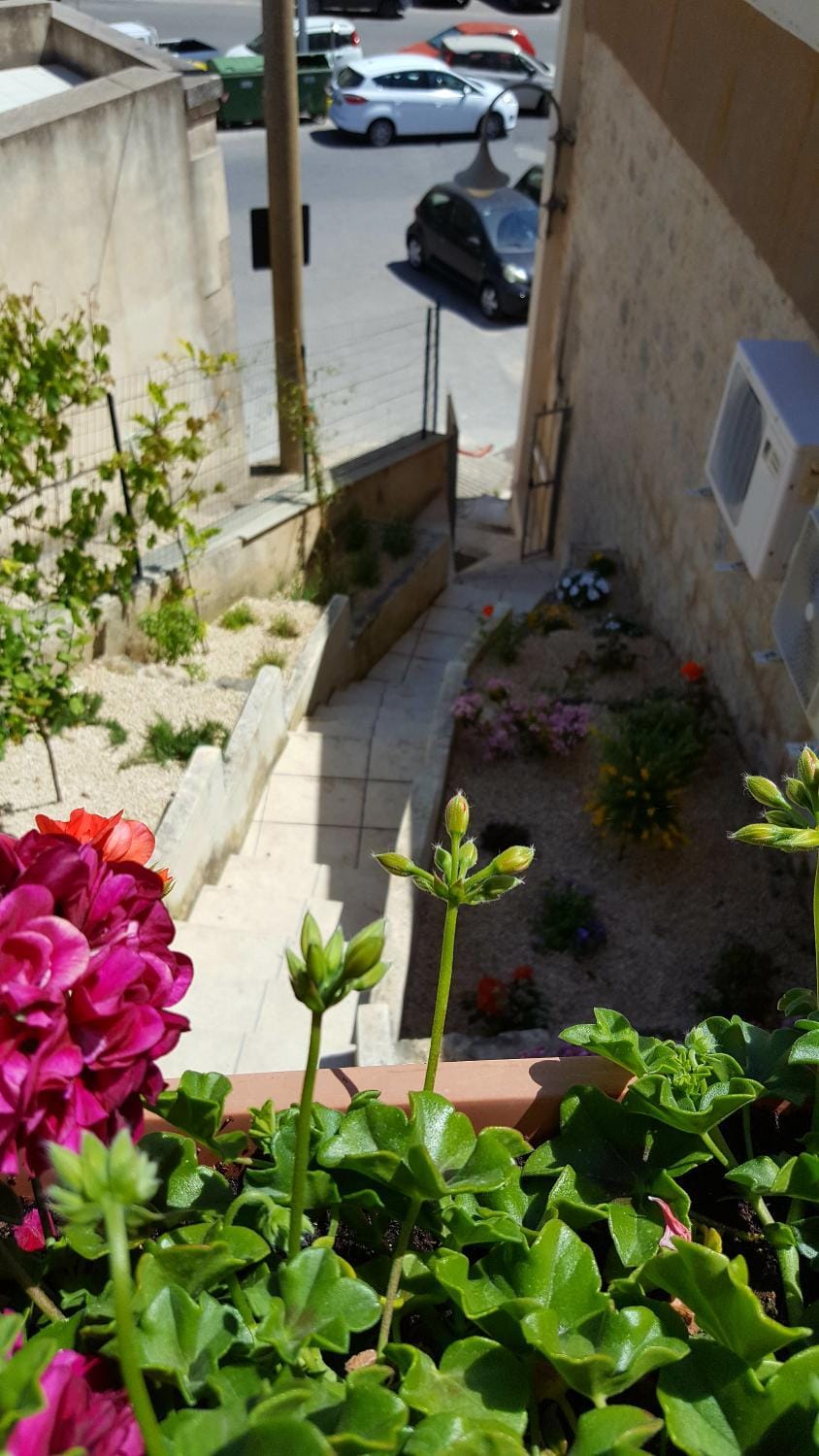 Day, Garden view