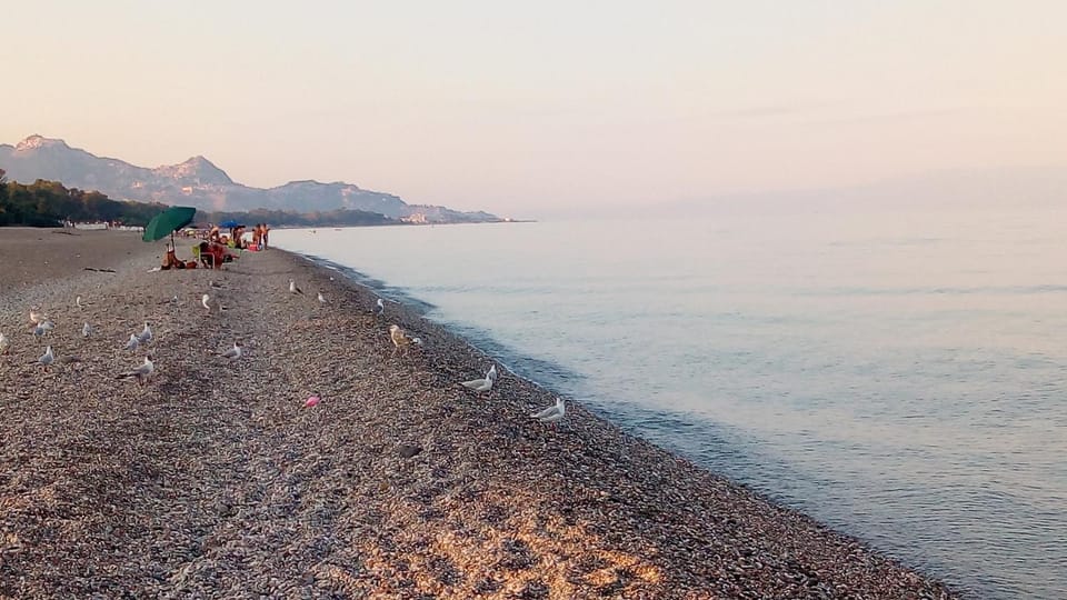 Beach