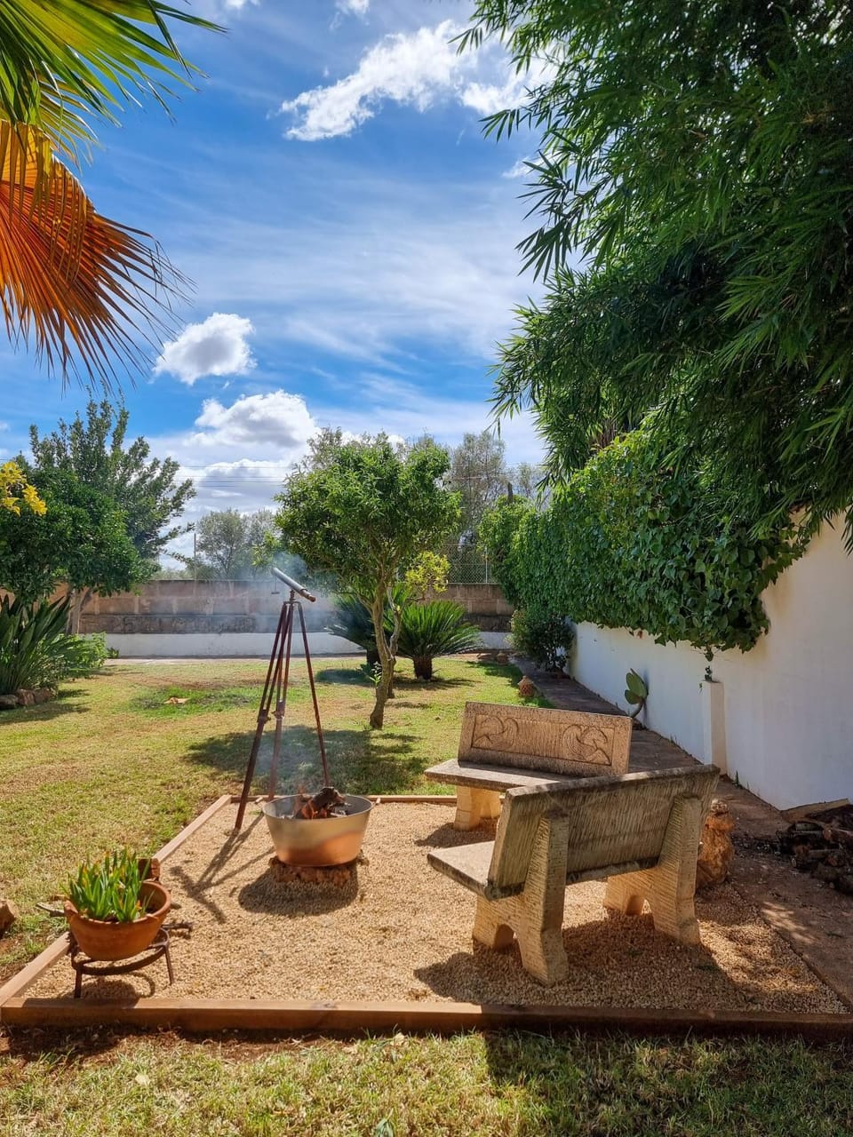 Off site, Day, Winter, Garden, Garden view, internet