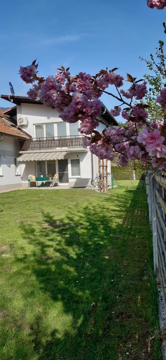 Property building, Garden, Garden view