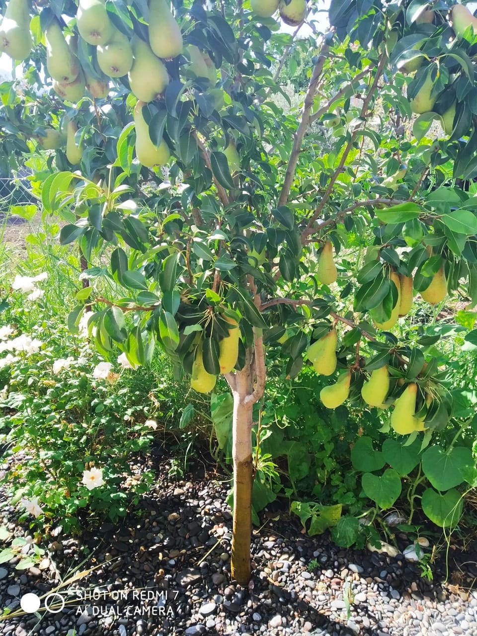 Magdalini Studio Apartment in Decentralized Administration of the Aegean