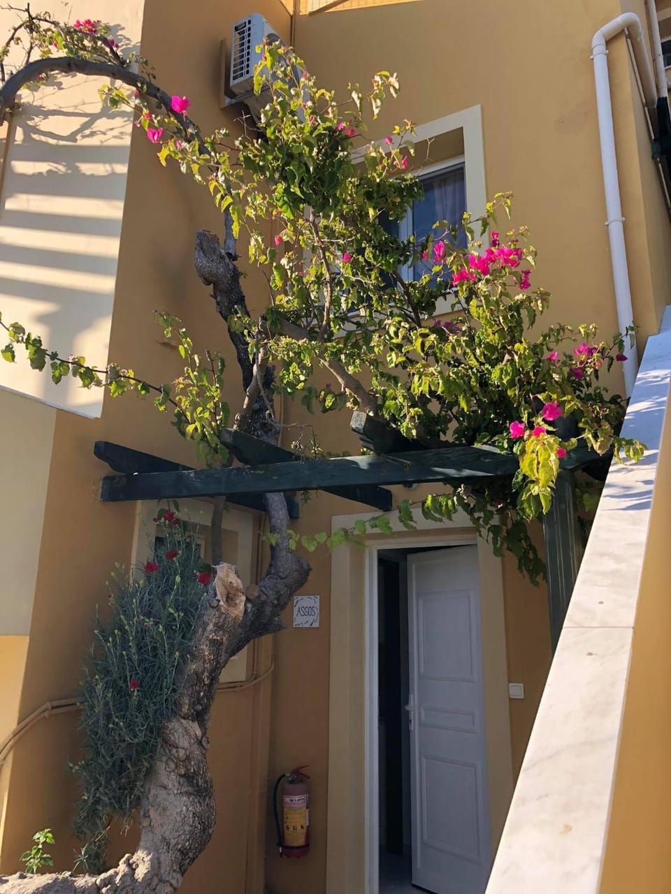 Facade/entrance
