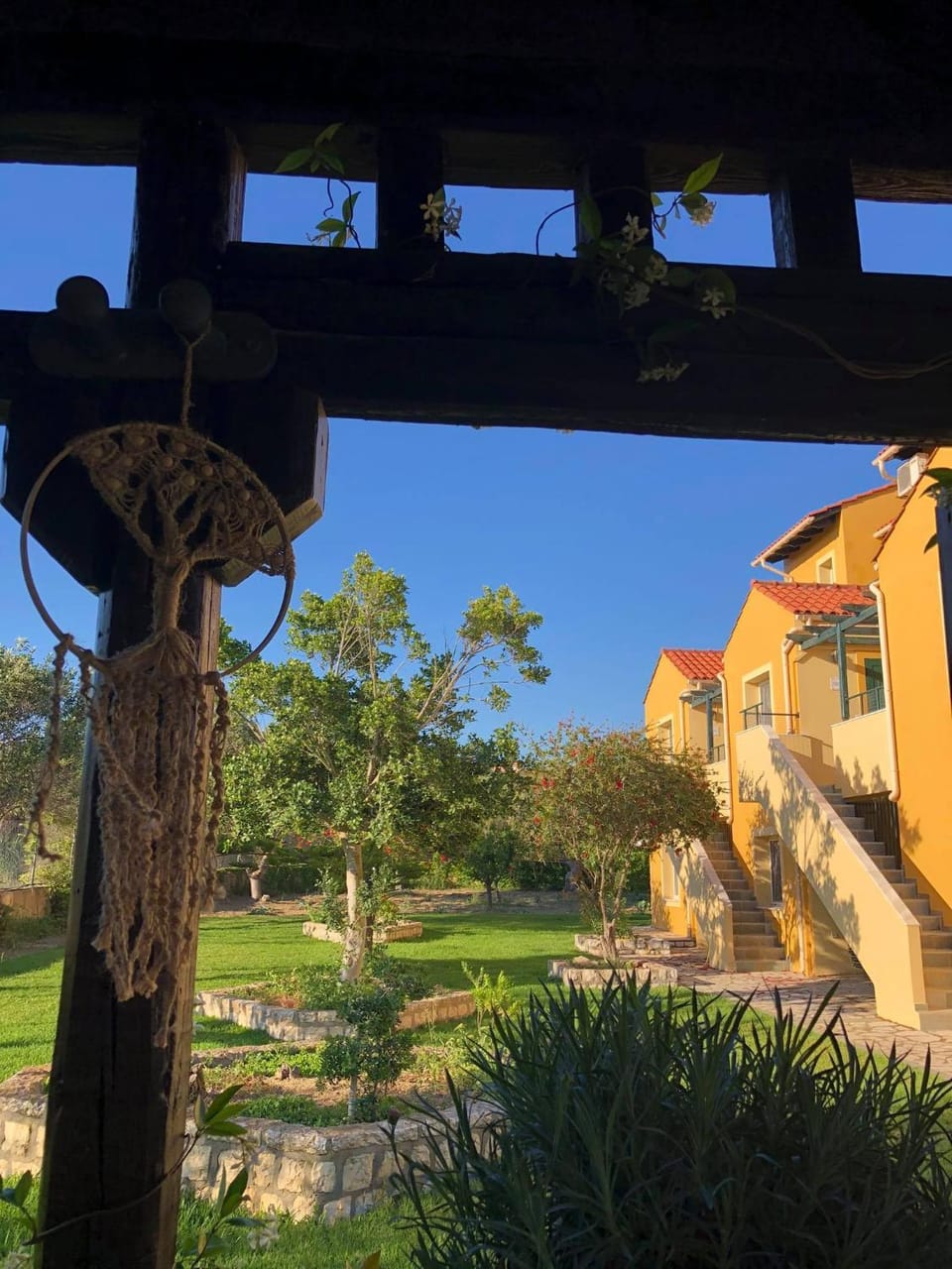 Garden view