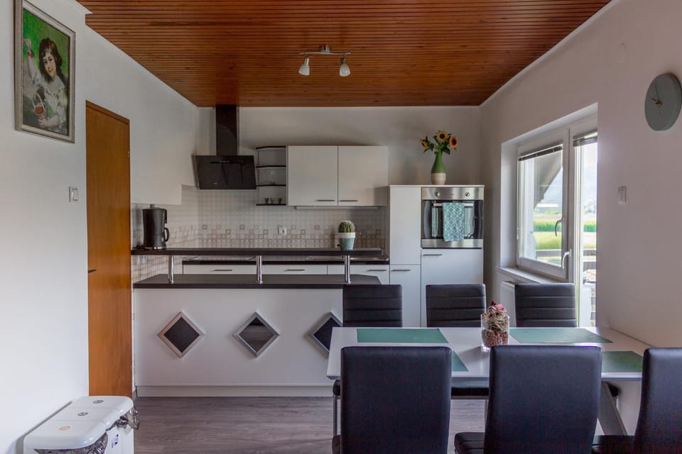 Kitchen or kitchenette, Dining area, oven
